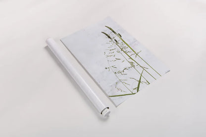 Meadow Greenery by Deborah Revell. shown as a rolled paper print. Available as archival giclee rolled canvas, fine art paper, or poster print. SKU 93430h.