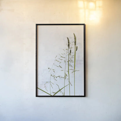 Meadow Greenery by Deborah Revell. shown as a paper print in a black flame. Available as a archival giclee rolled canvas, fine art paper, or poster print. SKU 93430h.