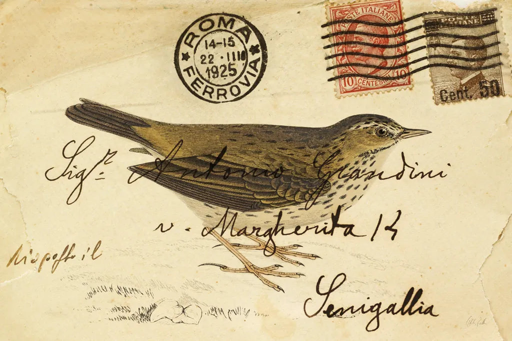 Meadow Pipit by Deborah Revell. SKU 101619i. Archival Giclee Fine art print for wall decor.