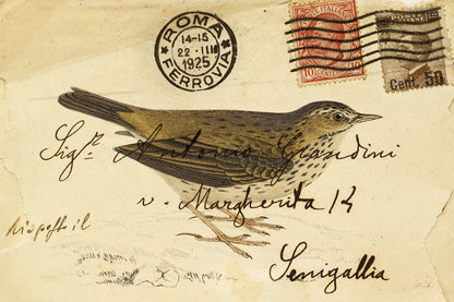 Meadow Pipit by Deborah Revell. SKU 101619i. Archival Giclee Fine art print for wall decor.