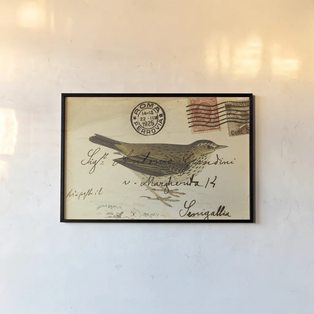 Meadow Pipit by Deborah Revell. shown as a paper print in a black flame. Available as a archival giclee rolled canvas, fine art paper, or poster print. SKU 101619i.