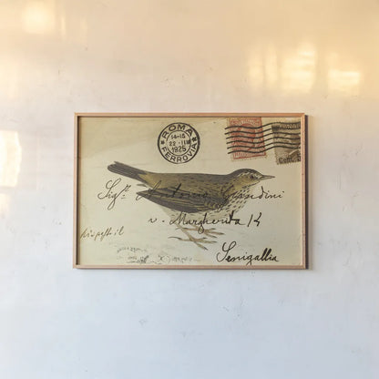 Meadow Pipit by Deborah Revell. shown as a paper print in a natural frame. Available as a archival giclee rolled canvas, fine art paper, or poster print. SKU 101619i.