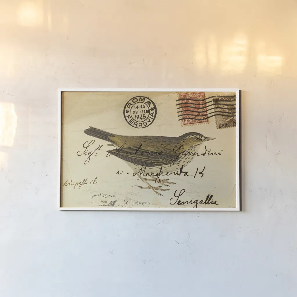 Meadow Pipit by Deborah Revell. shown as a paper print in a white frame. Available as a archival giclee rolled canvas, fine art paper, or poster print. SKU 101619i.