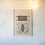 Mermaid Purse by Deborah Revell. shown as a paper print in a white frame. Available as a archival giclee rolled canvas, fine art paper, or poster print. SKU 95763h.
