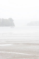 Misty Morning I by Deborah Revell. SKU 101147h. Archival Giclee Fine art print for wall decor.