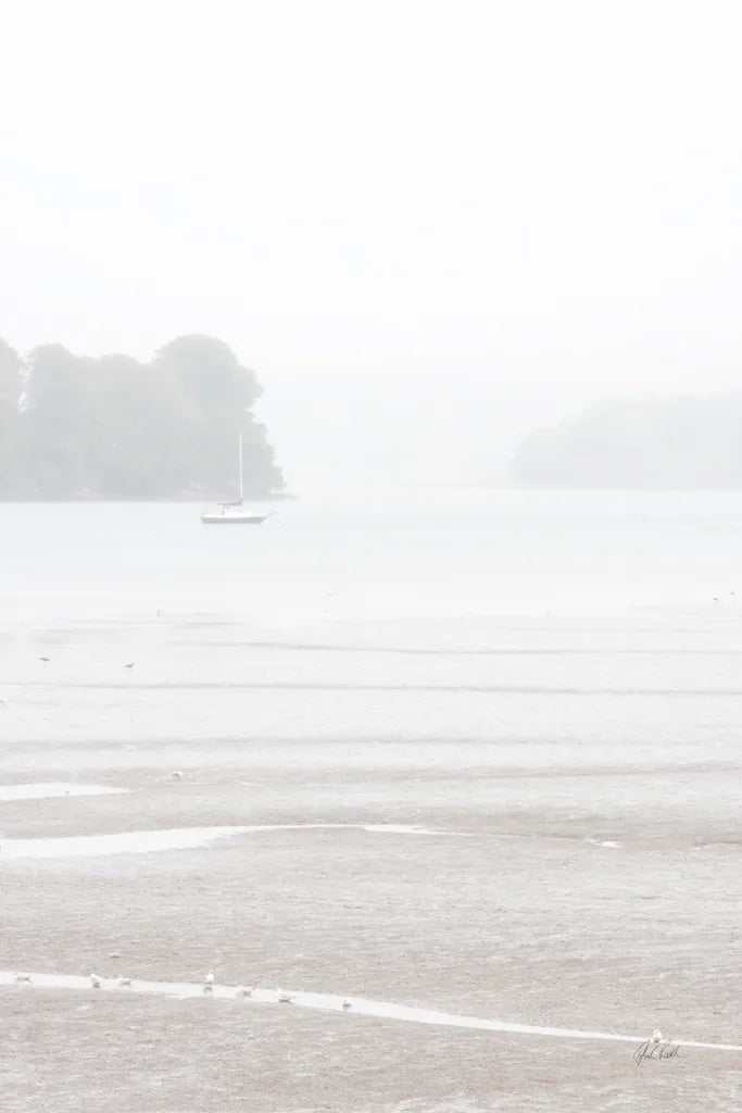 Misty Morning I by Deborah Revell. SKU 101147h. Archival Giclee Fine art print for wall decor.