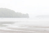 Misty Morning II by Deborah Revell. SKU 101148i. Archival Giclee Fine art print for wall decor.