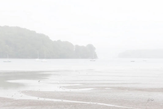 Misty Morning II by Deborah Revell. SKU 101148i. Archival Giclee Fine art print for wall decor.