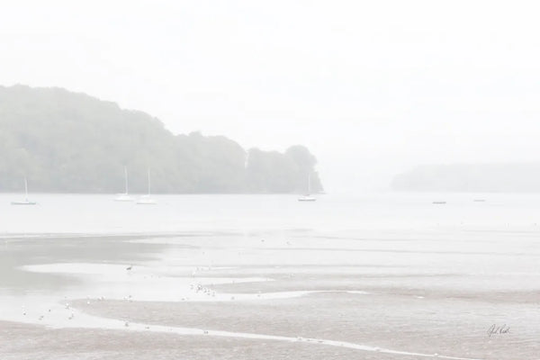Misty Morning II by Deborah Revell. SKU 101148i. Archival Giclee Fine art print for wall decor.