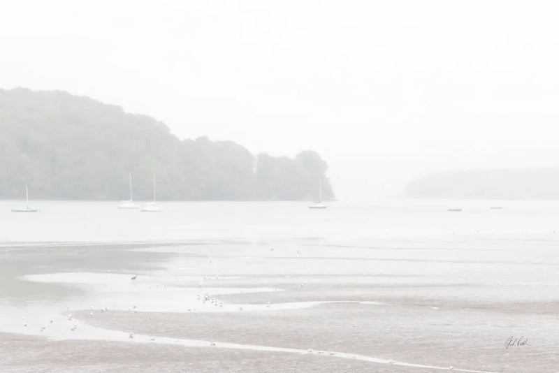 Misty Morning II by Deborah Revell. SKU 101148i. Archival Giclee Fine art print for wall decor.