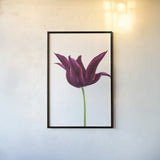 Moody Beauty I by Deborah Revell. shown as a paper print in a black flame. Available as a archival giclee rolled canvas, fine art paper, or poster print. SKU 92727h.
