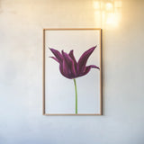 Moody Beauty I by Deborah Revell. shown as a paper print in a natural frame. Available as a archival giclee rolled canvas, fine art paper, or poster print. SKU 92727h.