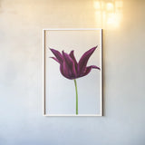 Moody Beauty I by Deborah Revell. shown as a paper print in a white frame. Available as a archival giclee rolled canvas, fine art paper, or poster print. SKU 92727h.