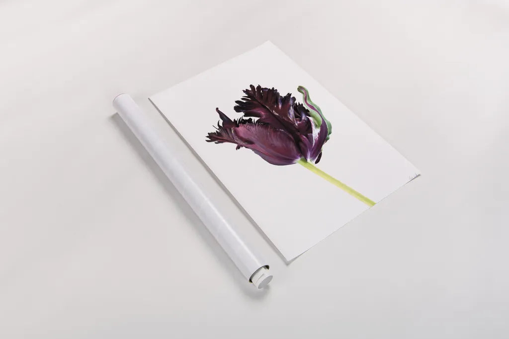 Moody Beauty II by Deborah Revell. shown as a rolled paper print. Available as archival giclee rolled canvas, fine art paper, or poster print. SKU 92728h.