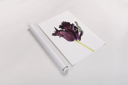 Moody Beauty II by Deborah Revell. shown as a rolled paper print. Available as archival giclee rolled canvas, fine art paper, or poster print. SKU 92728h.