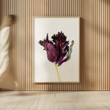 Moody Beauty II by Deborah Revell. shown as over sized large wall art. Available as an archival giclee rolled canvas, fine art paper, or poster print. SKU 92728h.