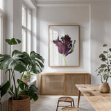 Moody Beauty II by Deborah Revell. shown as a print in a natural wood frame in a dining room. Available as a archival giclee rolled canvas, fine art paper, or poster print. SKU 92728h.