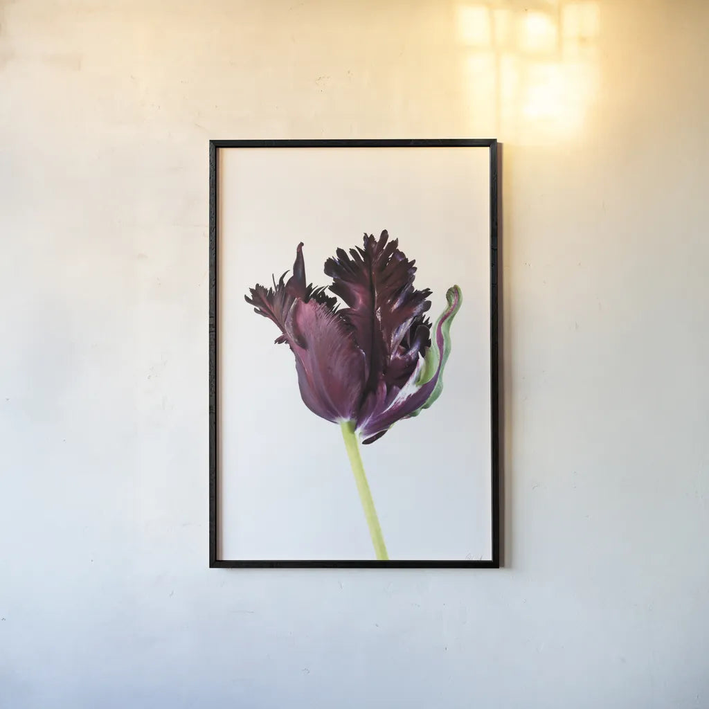 Moody Beauty II by Deborah Revell. shown as a paper print in a black flame. Available as a archival giclee rolled canvas, fine art paper, or poster print. SKU 92728h.