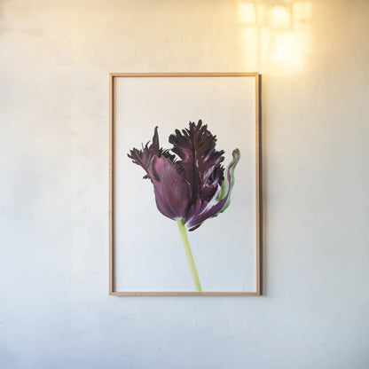 Moody Beauty II by Deborah Revell. shown as a paper print in a natural frame. Available as a archival giclee rolled canvas, fine art paper, or poster print. SKU 92728h.