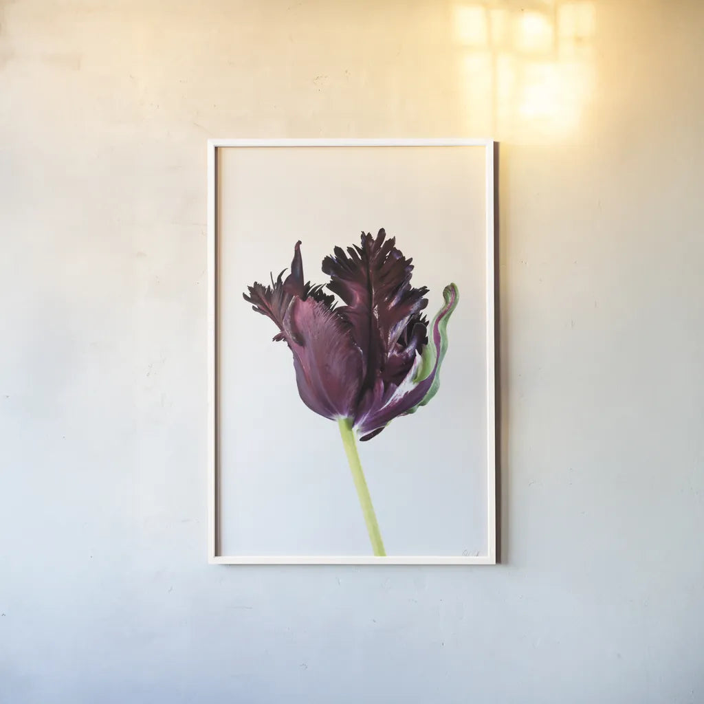 Moody Beauty II by Deborah Revell. shown as a paper print in a white frame. Available as a archival giclee rolled canvas, fine art paper, or poster print. SKU 92728h.