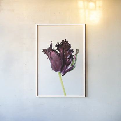 Moody Beauty II by Deborah Revell. shown as a paper print in a white frame. Available as a archival giclee rolled canvas, fine art paper, or poster print. SKU 92728h.