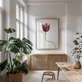 Moody Beauty III by Deborah Revell. shown as a print in a natural wood frame in a dining room. Available as a archival giclee rolled canvas, fine art paper, or poster print. SKU 92729h.