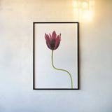 Moody Beauty III by Deborah Revell. shown as a paper print in a black flame. Available as a archival giclee rolled canvas, fine art paper, or poster print. SKU 92729h.