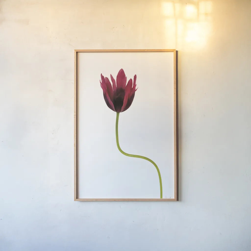 Moody Beauty III by Deborah Revell. shown as a paper print in a natural frame. Available as a archival giclee rolled canvas, fine art paper, or poster print. SKU 92729h.