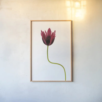 Moody Beauty III by Deborah Revell. shown as a paper print in a natural frame. Available as a archival giclee rolled canvas, fine art paper, or poster print. SKU 92729h.