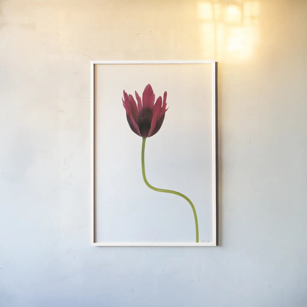 Moody Beauty III by Deborah Revell. shown as a paper print in a white frame. Available as a archival giclee rolled canvas, fine art paper, or poster print. SKU 92729h.