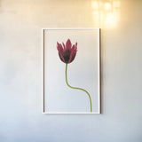 Moody Beauty III by Deborah Revell. shown as a paper print in a white frame. Available as a archival giclee rolled canvas, fine art paper, or poster print. SKU 92729h.