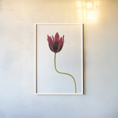 Moody Beauty III by Deborah Revell. shown as a paper print in a white frame. Available as a archival giclee rolled canvas, fine art paper, or poster print. SKU 92729h.