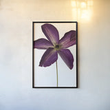 Moody Beauty IV by Deborah Revell. shown as a paper print in a black flame. Available as a archival giclee rolled canvas, fine art paper, or poster print. SKU 92730h.
