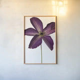 Moody Beauty IV by Deborah Revell. shown as a paper print in a natural frame. Available as a archival giclee rolled canvas, fine art paper, or poster print. SKU 92730h.