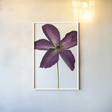Moody Beauty IV by Deborah Revell. shown as a paper print in a white frame. Available as a archival giclee rolled canvas, fine art paper, or poster print. SKU 92730h.