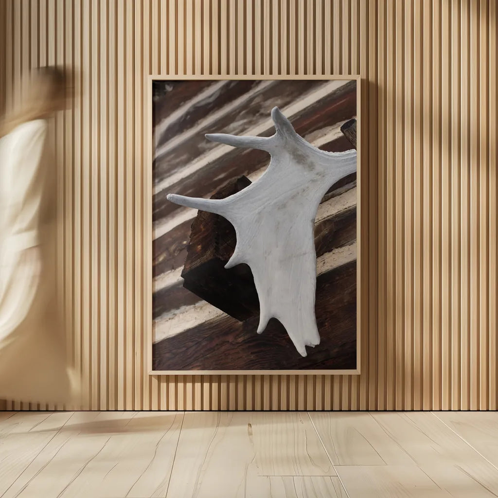 Moose Antler II by Deborah Revell. shown as over sized large wall art. Available as an archival giclee rolled canvas, fine art paper, or poster print. SKU 102083h.