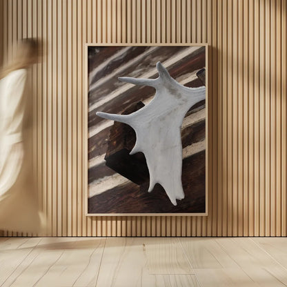 Moose Antler II by Deborah Revell. shown as over sized large wall art. Available as an archival giclee rolled canvas, fine art paper, or poster print. SKU 102083h.