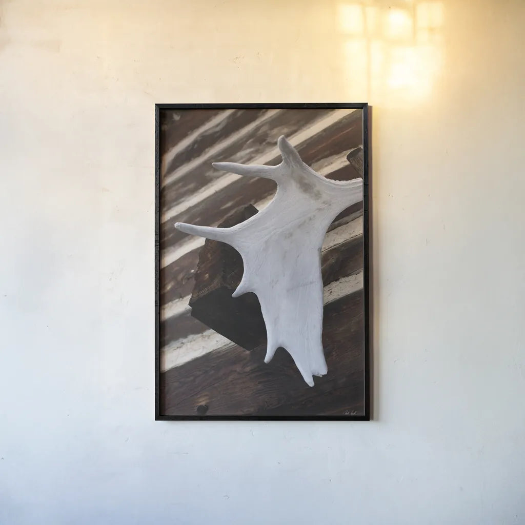 Moose Antler II by Deborah Revell. shown as a paper print in a black flame. Available as a archival giclee rolled canvas, fine art paper, or poster print. SKU 102083h.