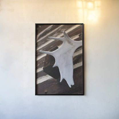 Moose Antler II by Deborah Revell. shown as a paper print in a black flame. Available as a archival giclee rolled canvas, fine art paper, or poster print. SKU 102083h.