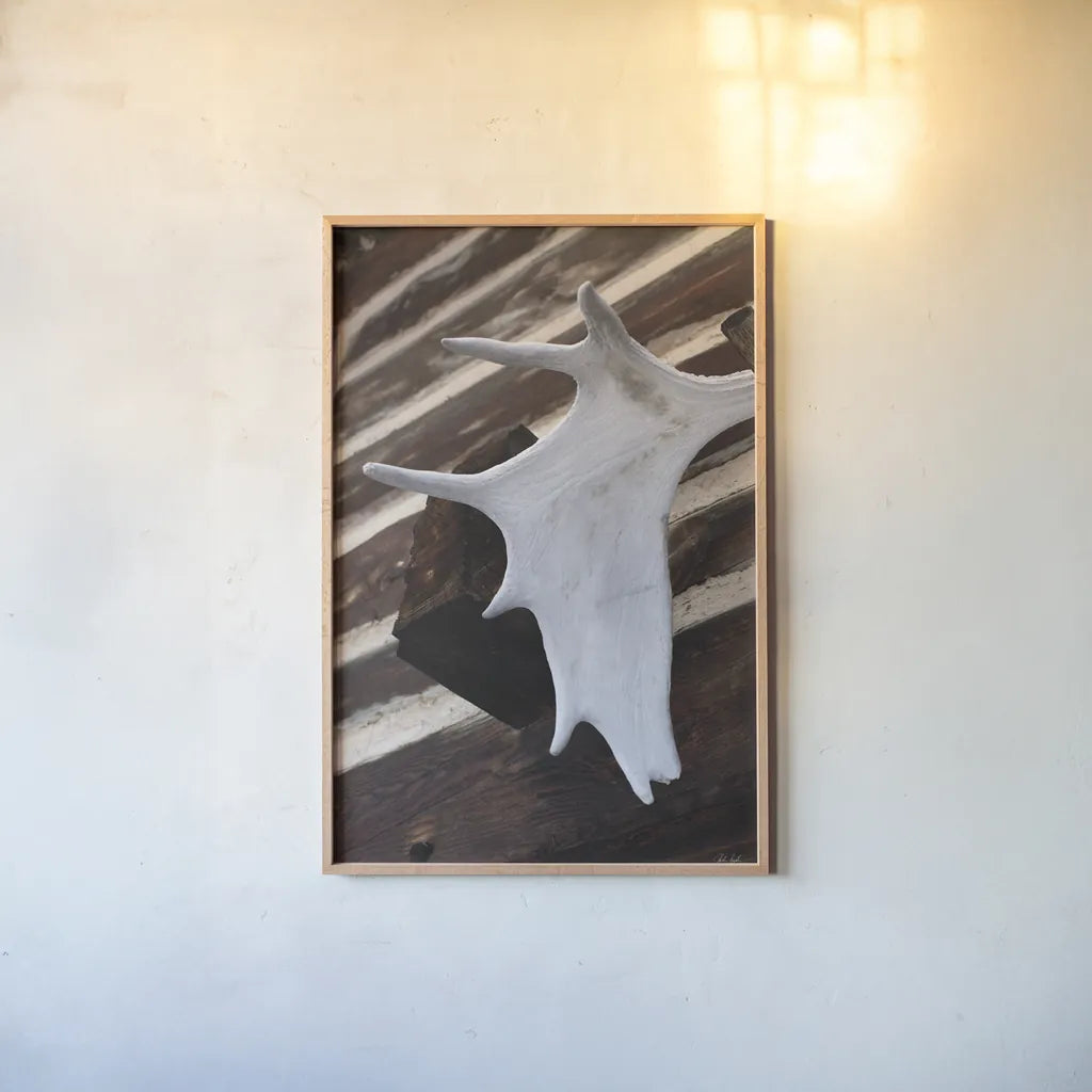 Moose Antler II by Deborah Revell. shown as a paper print in a natural frame. Available as a archival giclee rolled canvas, fine art paper, or poster print. SKU 102083h.