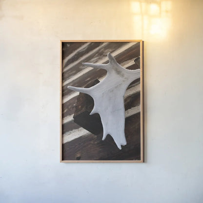 Moose Antler II by Deborah Revell. shown as a paper print in a natural frame. Available as a archival giclee rolled canvas, fine art paper, or poster print. SKU 102083h.