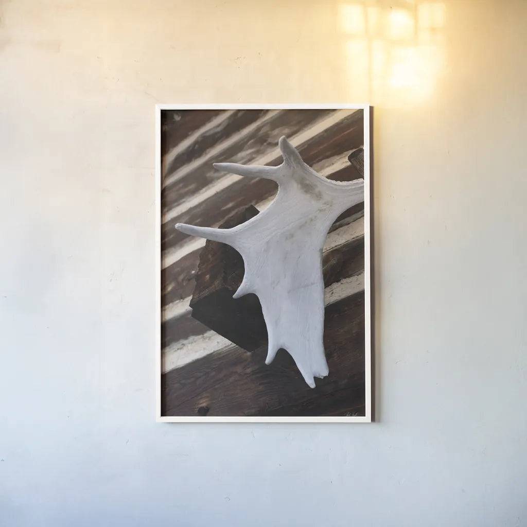 Moose Antler II by Deborah Revell. shown as a paper print in a white frame. Available as a archival giclee rolled canvas, fine art paper, or poster print. SKU 102083h.
