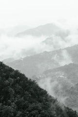 Morning Mist I by Deborah Revell. SKU 92030h. Archival Giclee Fine art print for wall decor.