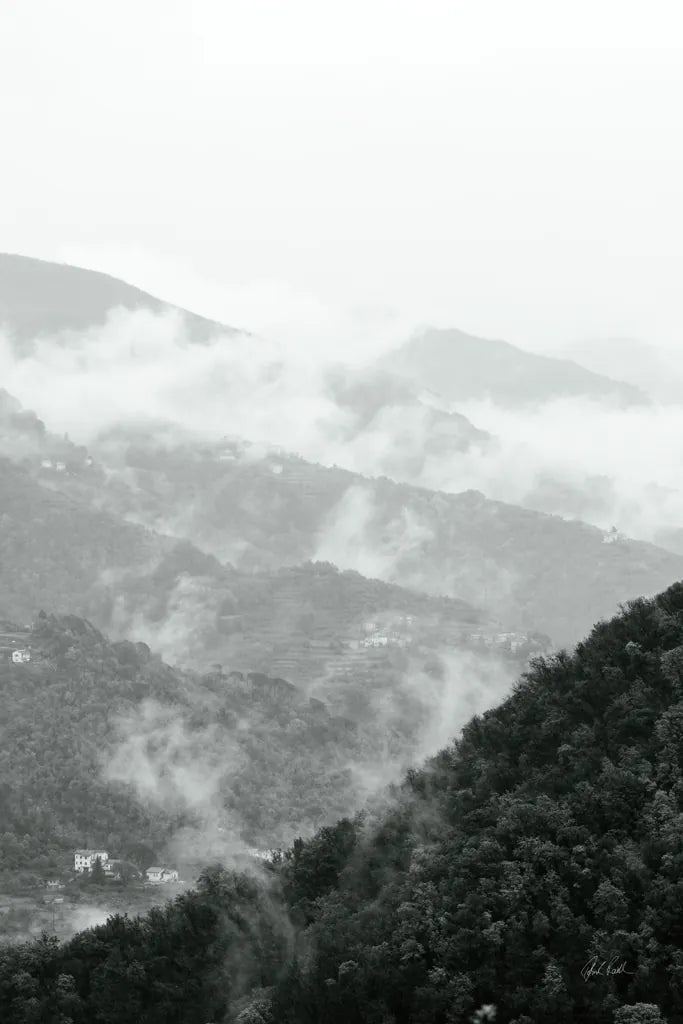 Morning Mist II by Deborah Revell. SKU 92031h. Archival Giclee Fine art print for wall decor.