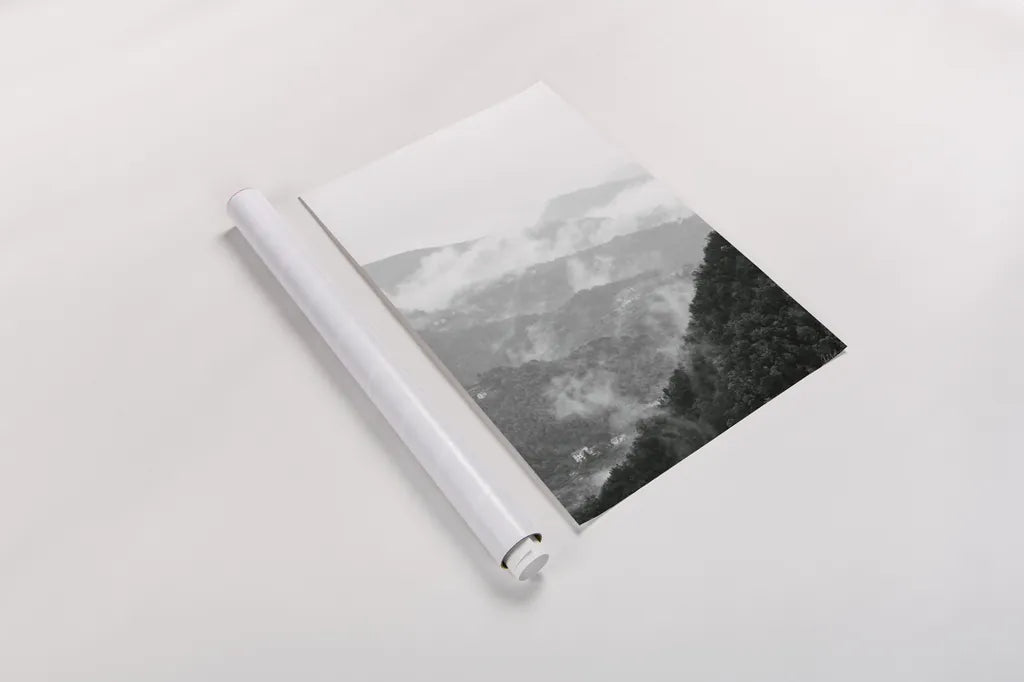 Morning Mist II by Deborah Revell. shown as a rolled paper print. Available as archival giclee rolled canvas, fine art paper, or poster print. SKU 92031h.