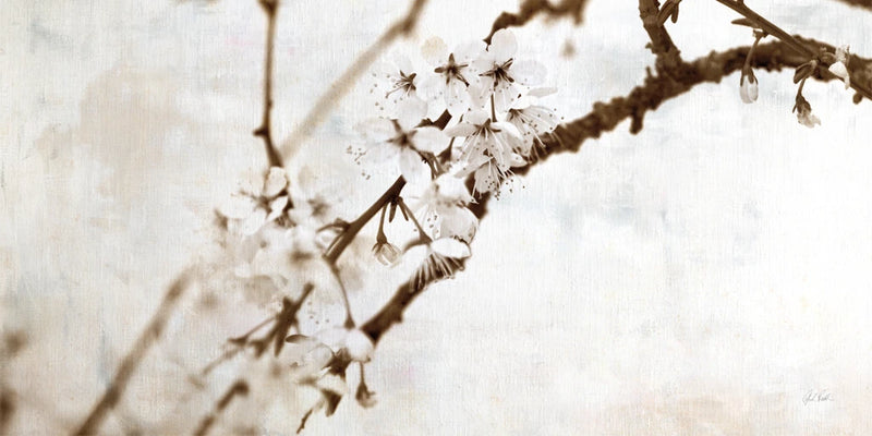Natural Blossom by Deborah Revell