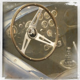 Old Sport I by Deborah Revell. SKU 96047a. Archival Giclee Fine art print for wall decor.