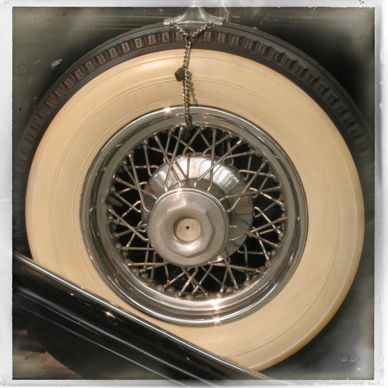 Old Sport II by Deborah Revell. SKU 96048a. Archival Giclee Fine art print for wall decor.