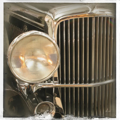 Old Sport III by Deborah Revell. SKU 96049a. Archival Giclee Fine art print for wall decor.