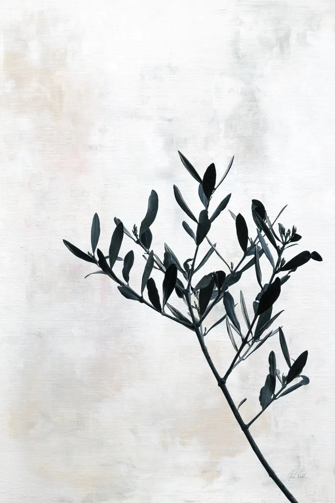 Olive Branch by Deborah Revell. SKU 94136h. Archival Giclee Fine art print for wall decor.